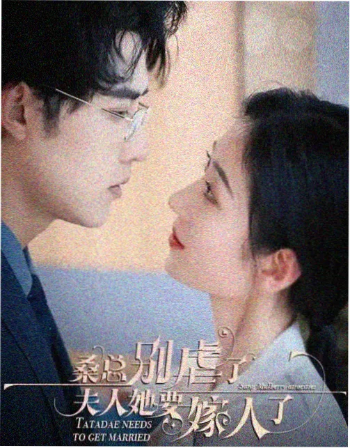濑户的花嫁 动漫 补番路线建议配图